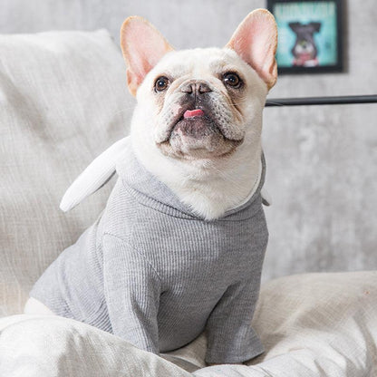 Cozy Canine Spring And Autumn Sweater-4