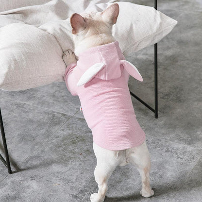 Cozy Canine Spring And Autumn Sweater-1