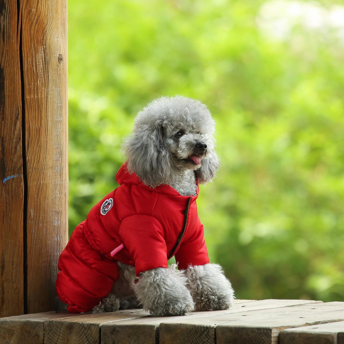 Cozy Canine Winter Jacket-2