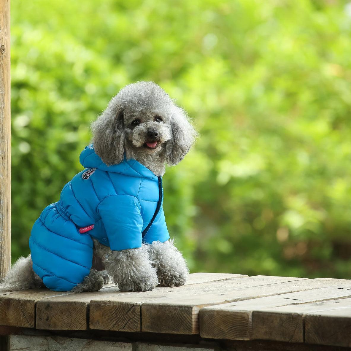 Cozy Canine Winter Jacket-4