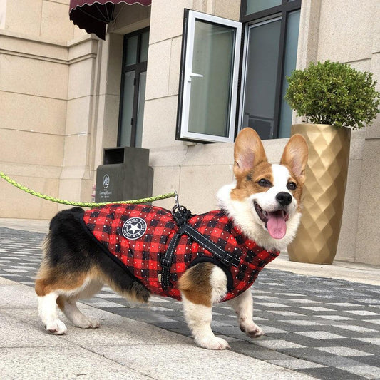 Cozy Canine Winterwear: Waterproof Reflective Tape Dog Jacket-0