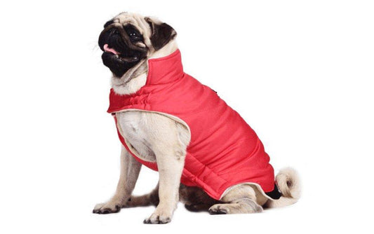 Cozy Cotton Dog Coat Vest - Stylish European And American Style For All Genders-0