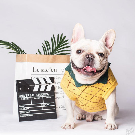 Cozy Cotton Dog Sweater - Japanese And Korean Style-0