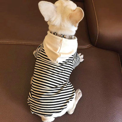 Cozy Cotton Sweatshirt For Fashionable Small Dogs-1
