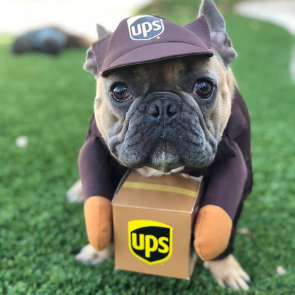 Cozy Critter Pet Apparel-2