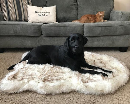 Cozycanine Plush Dog Bed - Luxurious Beige Mat For Restful Pet Sleep-0