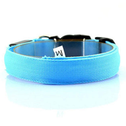 Luminous Glow Dog Collar - Illuminate Your Pup In Style!-4