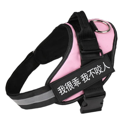 Ultimate Pet Adventure Set: Adjustable Chest Harness With Dog Leash-4