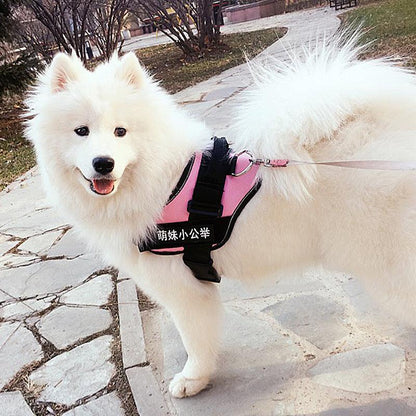 Ultimate Pet Adventure Set: Adjustable Chest Harness With Dog Leash-1