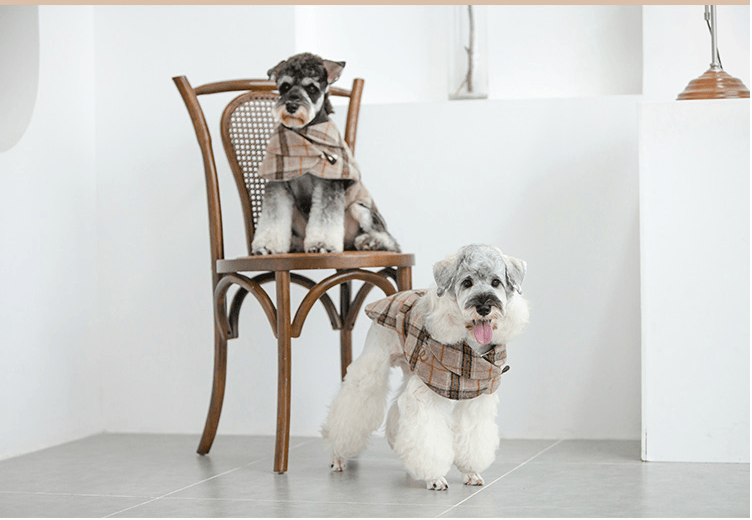 Petite Pooch Chic Coat: Stylish Windbreaker For Small Dogs-4