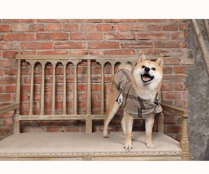 Petite Pooch Chic Coat: Stylish Windbreaker For Small Dogs-1