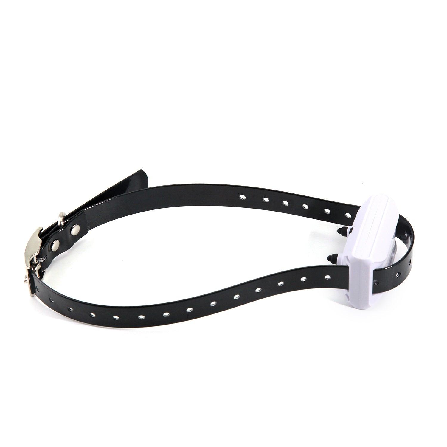 Wireless Petsafe Containment System-3