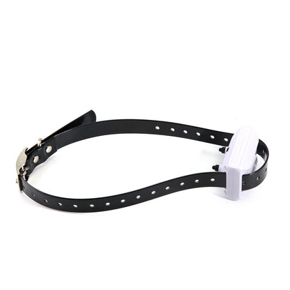 Wireless Petsafe Containment System-3