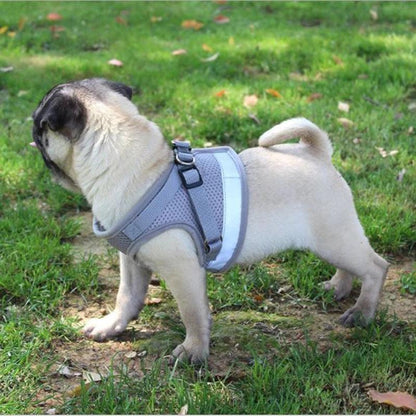 Reflective Airmesh Pet Harness: The Ultimate Comfort And Safety Solution For Your Furry Friend-3