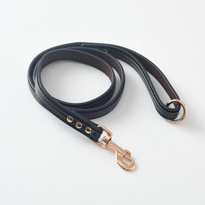 Ultimate Pet Walking Set: Stylish Pu Leash And Collar Combo-5