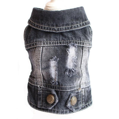 Stylish Denim Dog Jacket: Trendy Pet Fashion For Small Dogs-4