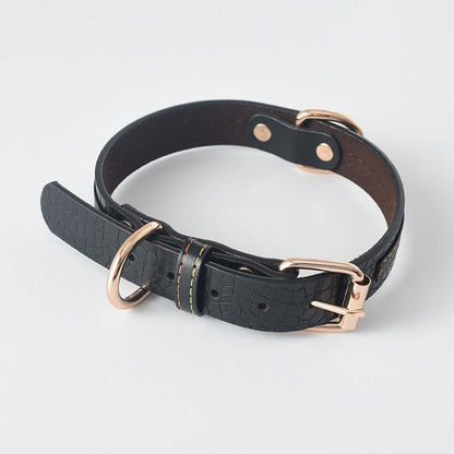 Ultimate Pet Walking Set: Stylish Pu Leash And Collar Combo-3